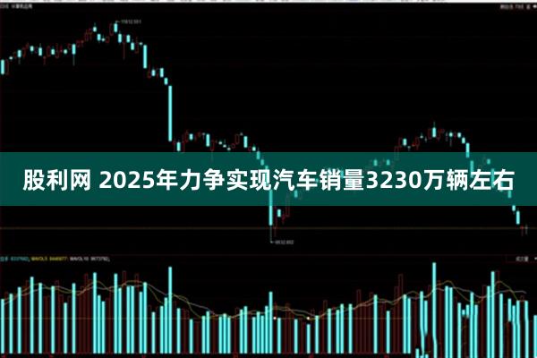股利网 2025年力争实现汽车销量3230万辆左右