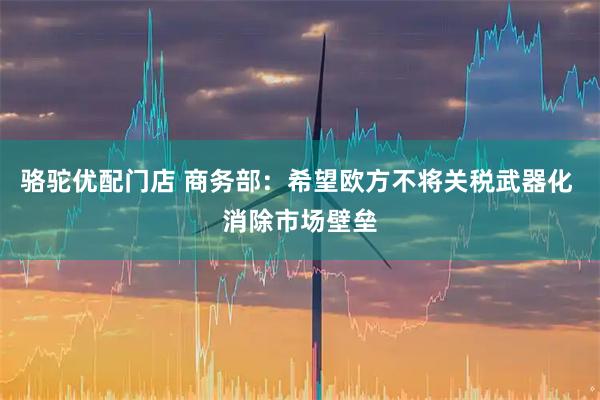 骆驼优配门店 商务部：希望欧方不将关税武器化 消除市场壁垒