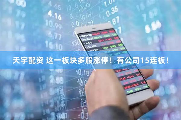 天宇配资 这一板块多股涨停！有公司15连板！