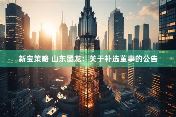 新宝策略 山东墨龙：关于补选董事的公告