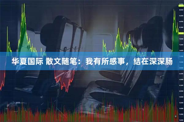 华夏国际 散文随笔：我有所感事，结在深深肠