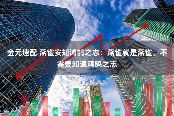 金元速配 燕雀安知鸿鹄之志：燕雀就是燕雀，不需要知道鸿鹄之志