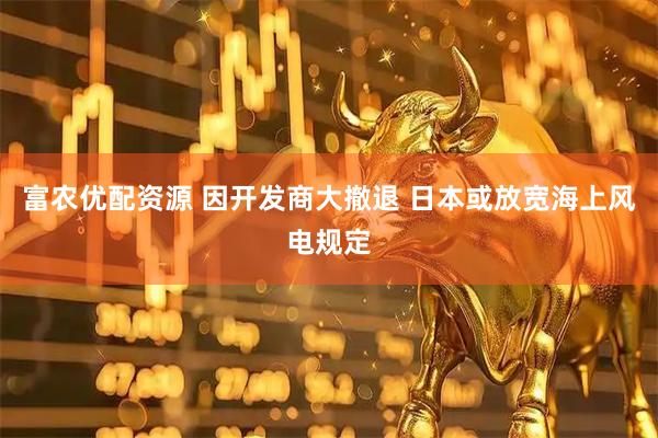 富农优配资源 因开发商大撤退 日本或放宽海上风电规定