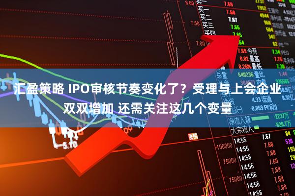 汇盈策略 IPO审核节奏变化了？受理与上会企业双双增加 还需关注这几个变量