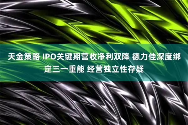 天金策略 IPO关键期营收净利双降 德力佳深度绑定三一重能 经营独立性存疑