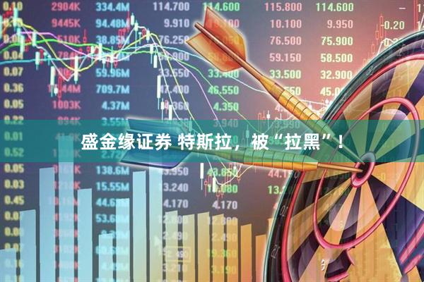 盛金缘证券 特斯拉，被“拉黑”！