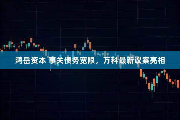 鸿岳资本 事关债务宽限，万科最新议案亮相