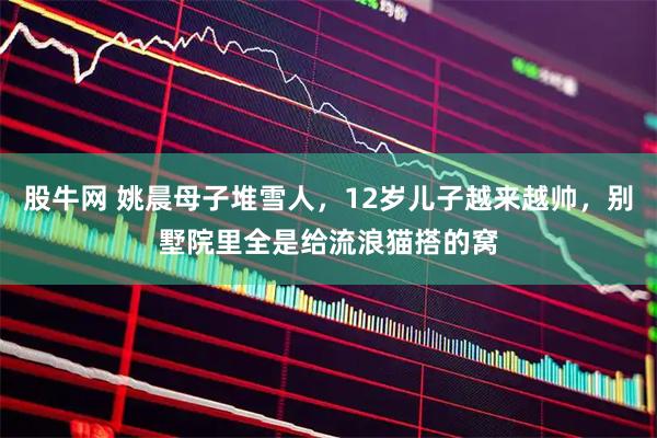 股牛网 姚晨母子堆雪人，12岁儿子越来越帅，别墅院里全是给流浪猫搭的窝