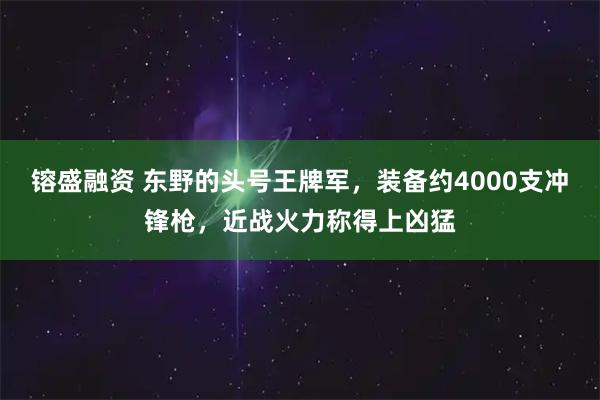 镕盛融资 东野的头号王牌军，装备约4000支冲锋枪，近战火力称得上凶猛