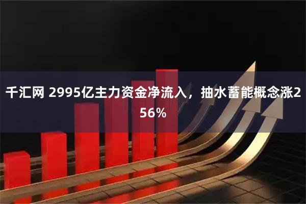 千汇网 2995亿主力资金净流入，抽水蓄能概念涨256%