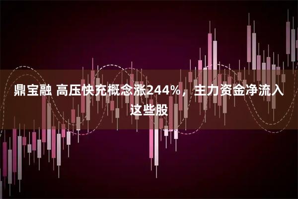 鼎宝融 高压快充概念涨244%，主力资金净流入这些股
