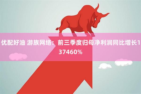优配好油 游族网络：前三季度归母净利润同比增长137460%