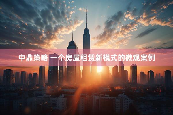中鼎策略 一个房屋租赁新模式的微观案例